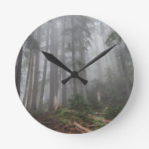 Forêt Nature