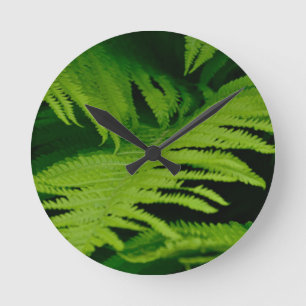 Horloge Ronde Forêts et jungles