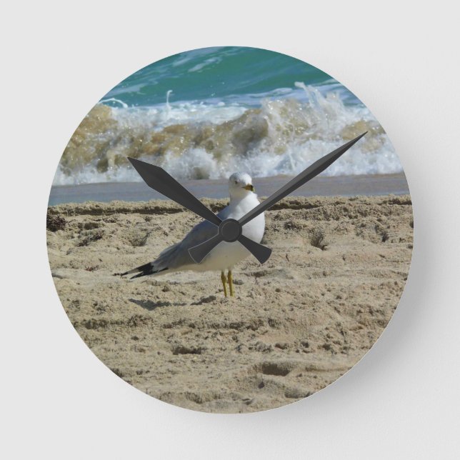 Horloge Ronde Fort Lauderdale, Floride (Recto)