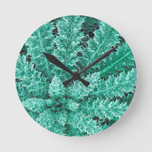 Horloge Ronde Gelée sur chardon, Parc national Olympique