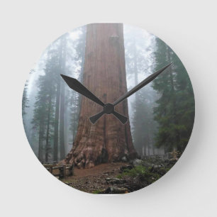 Horloge Ronde Général Sherman Tree, Sequoia, CA