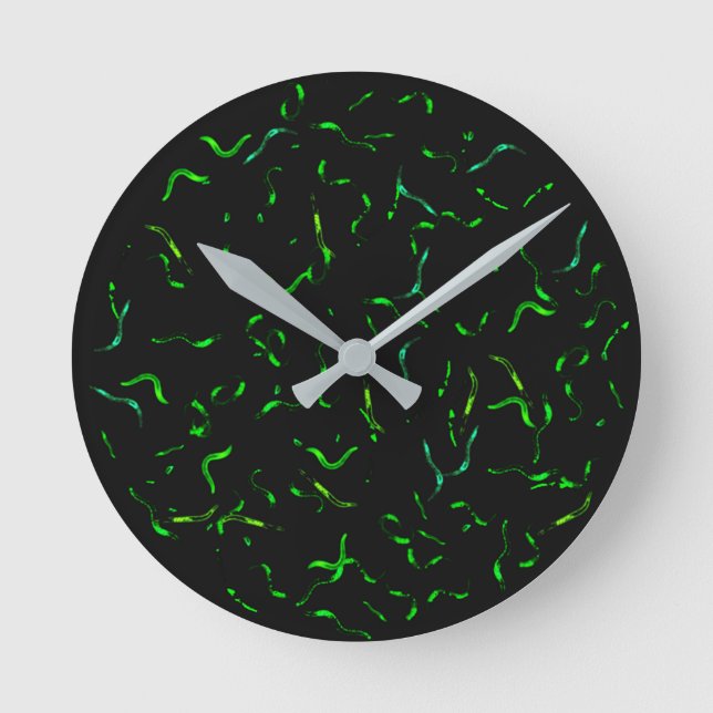 Horloge Ronde gfp worms (Recto)