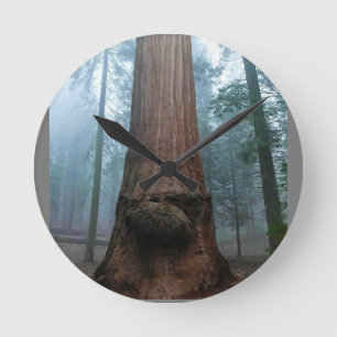 Horloge Ronde Giant Sequoia Tree in Grant Grove, CA