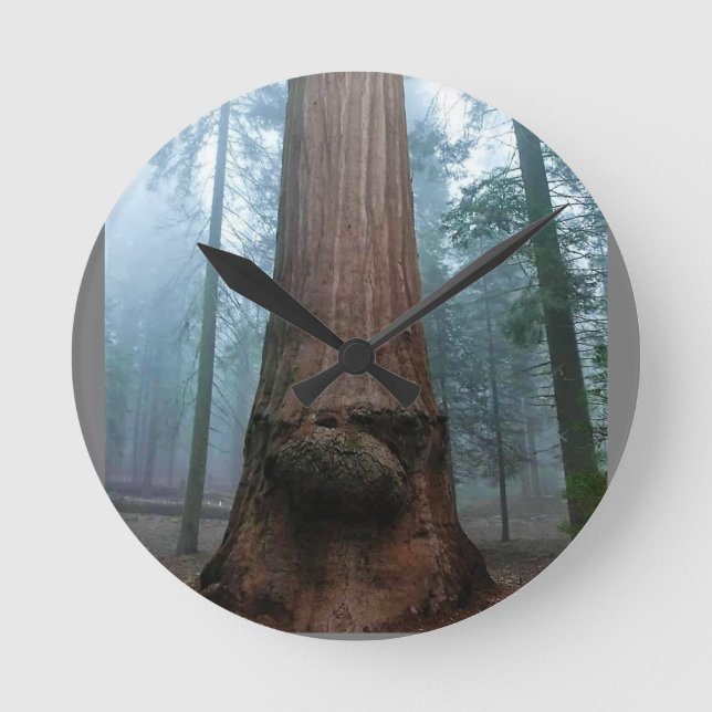 Horloge Ronde Giant Sequoia Tree in Grant Grove, CA (Recto)