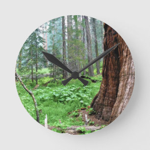 Horloge Ronde Giant Sequoias in Grant Grove, CA