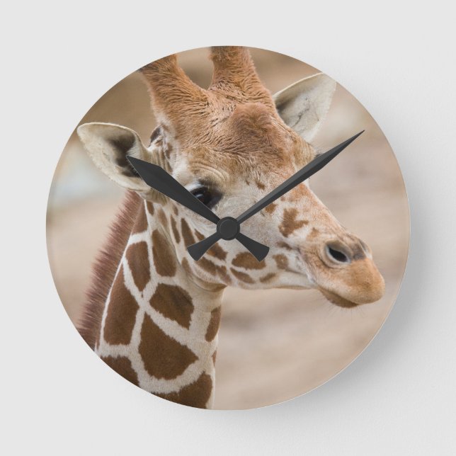 Horloge Ronde Girafe (Recto)