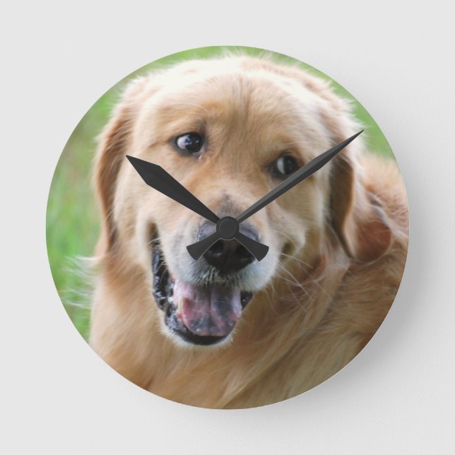 Horloge Ronde golden-retriever-31 (Recto)