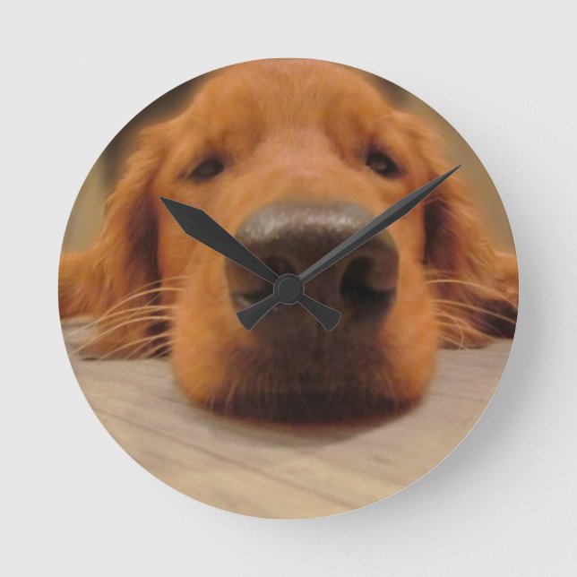 Horloge Ronde Golden Retriever Wall Clock (Recto)