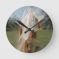 Graines flottantes d'algue Art Imprimer/Graphique