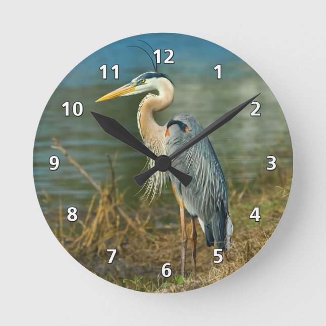 Horloge Ronde Grand Blue Heron (Recto)