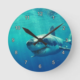 HORLOGE RONDE GRAND REQUIN BLANC 1