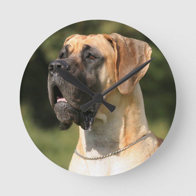 Horloge Ronde Great Dane - fawn / Deutsche Dogge - jaune (Recto)