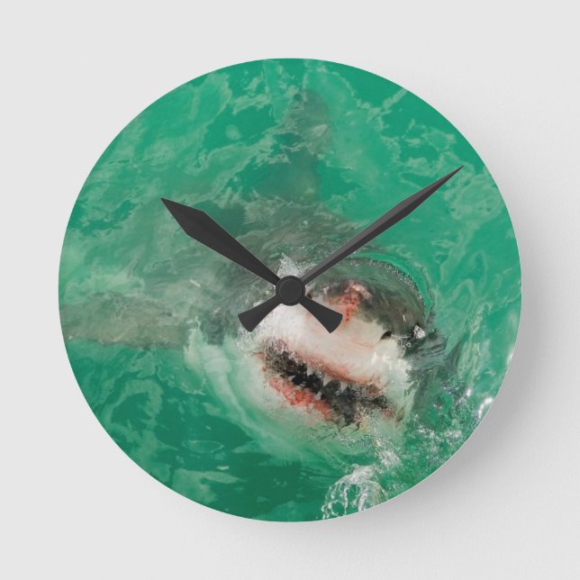 Horloge Ronde Great White (Recto)