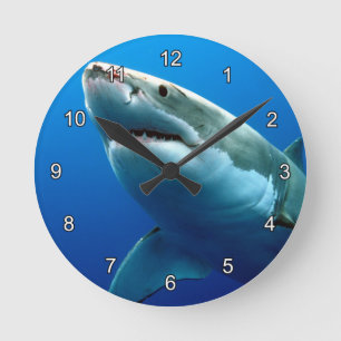 HORLOGE RONDE GREAT WHITE SHARK