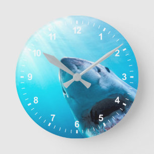 Horloge Ronde Great White Shark   Afrique du Sud