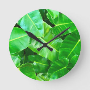 Horloge Ronde Green feuille Palm Leaf feuillage tropical jungle