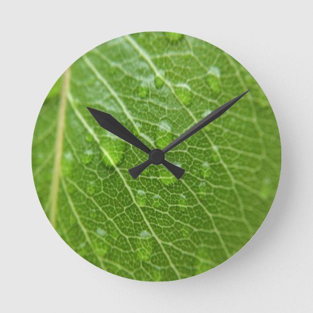 Horloge Ronde Green leaf (Recto)