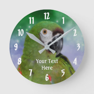 Horloge Ronde Green Severe Macaw Parrot Animal
