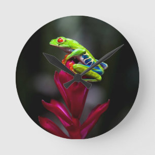 Horloge Ronde Grenouille d'arbre aux yeux rouges