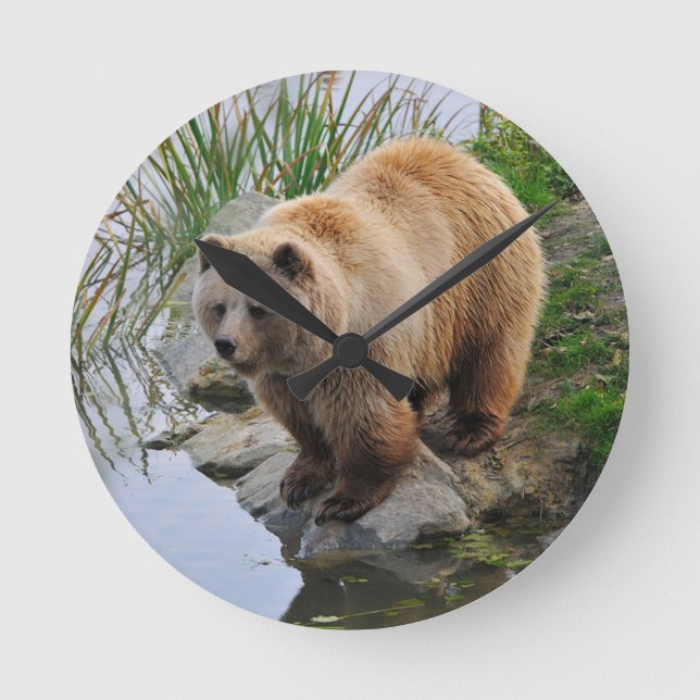 Horloge Ronde Grizzly Oear Wildlife Animal Photographie (Recto)