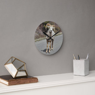 Horloge Ronde Gros mouton de corne