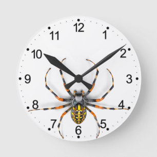 Horloge Ronde Gros plan Araignée isolée-23983 Veste Denim