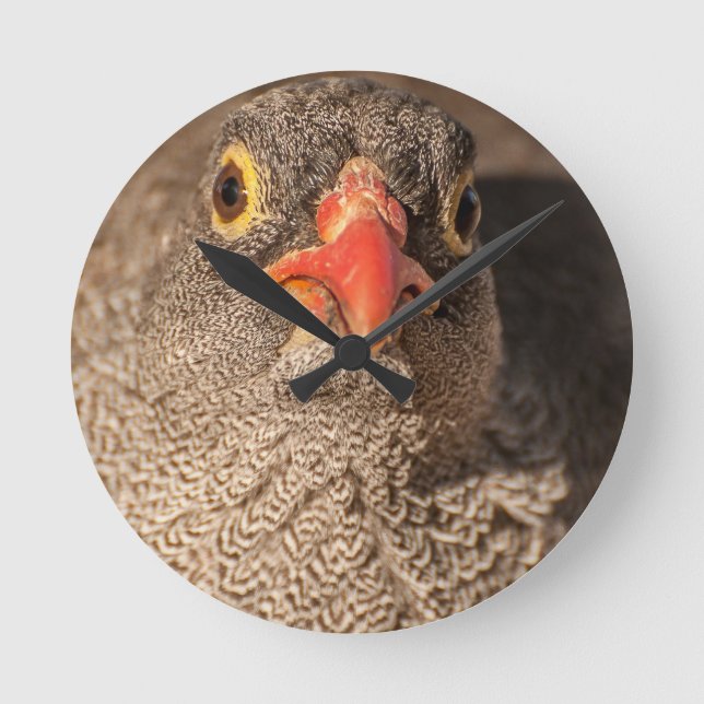 Horloge Ronde Grouse (Recto)