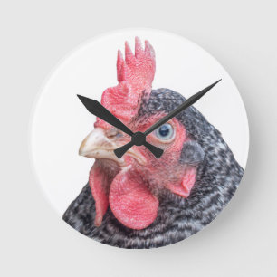Horloge Ronde Grumpy Chicken Funny Frowning Hen Photo