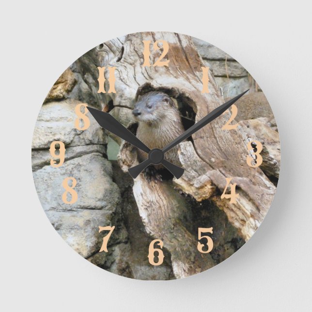 Horloge Ronde Harry Otter (Recto)