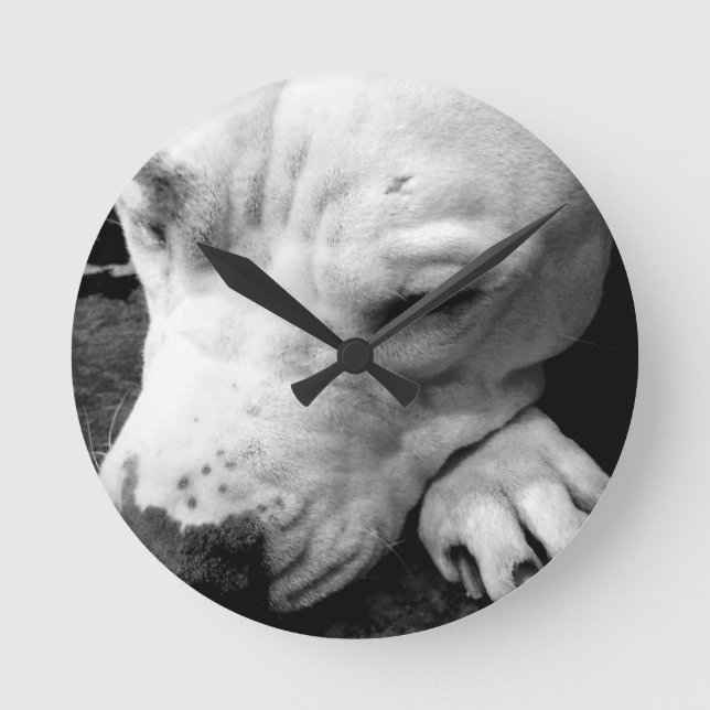 Horloge Ronde harry potier cicatrice chien blanc pit bull (Recto)