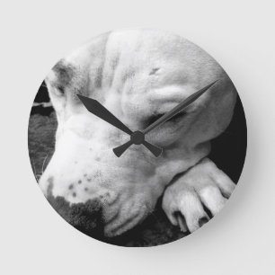Horloge Ronde harry potier cicatrice chien blanc pit bull