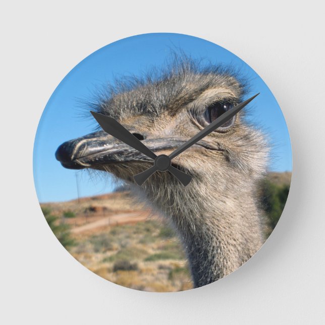 Horloge Ronde Harry the Happy Ostrich (Recto)