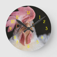Hen