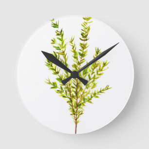 Horloge Ronde Herbes de thym Herbes botaniques
