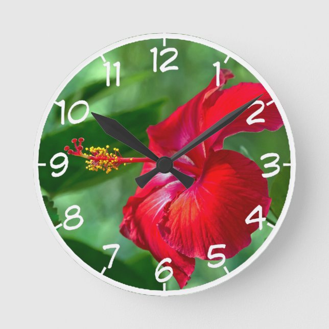 Horloge Ronde Hibiscus Blossom (Recto)