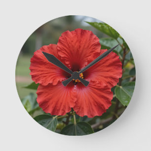 Horloge Ronde Hibiscus Tropical Rouge Vibrant en Fleur