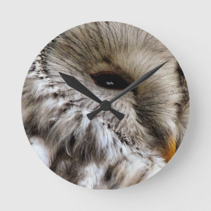HORLOGE RONDE HIBOU