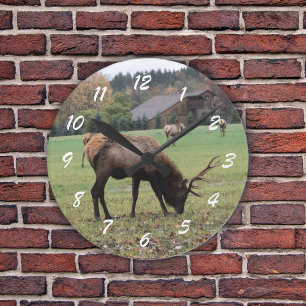 Horloge Ronde Homme Elk Photo Champ Antlers Automne