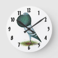 Horseman Pouter Pigeon Blue