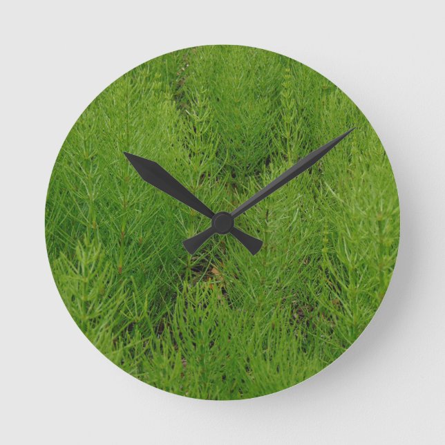 Horloge Ronde Horsetail (Recto)
