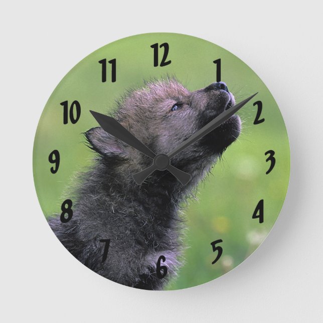 Horloge Ronde Howling (Recto)