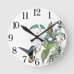 Horloge Ronde Hummingbird Bird