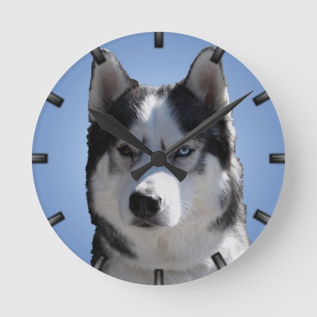 Horloge Ronde Husky Clock Toxits Decor Sled Dog Wall Clock (Recto)