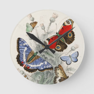Horloge Ronde Illustration botanique scientifique de papillon vi