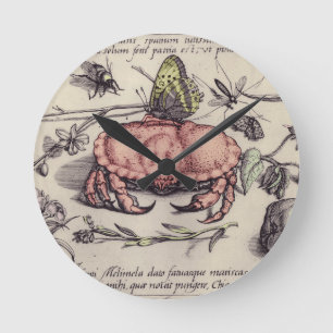 Horloge Ronde Illustration de fleur d'insecte botanique de crabe