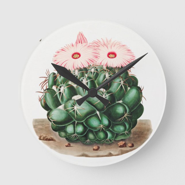 Horloge Ronde Illustration de la fleur de cactus à dents de l'él (Recto)