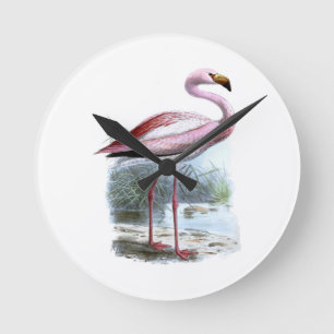 Horloge Ronde Illustration Vintage du Flamant rose Puna