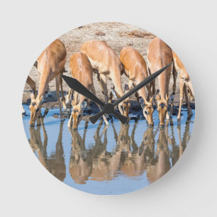 Horloge Ronde Impalas au trou d'eau