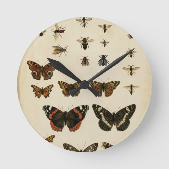 Horloge Ronde Insectes de jardin par le studio de vision (Recto)