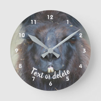 Horloge Ronde Intense Llama Face Gros Plan Personnalisé
